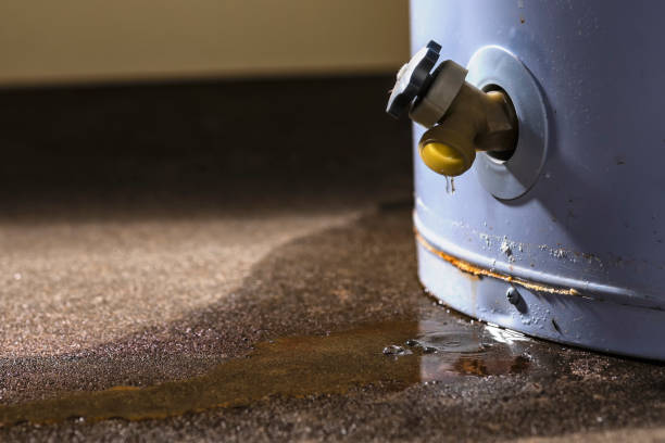 Best Emergency water damage restoration  in Dalton, GA