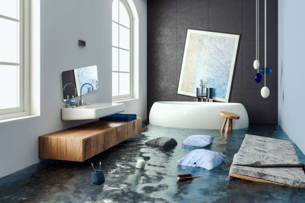 Best Mold removal after water damage  in Dalton, GA