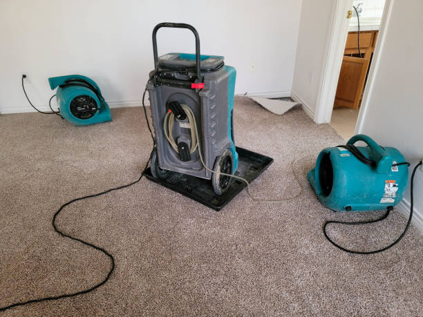 Best Residential water damage restoration  in Dalton, GA