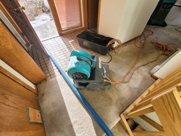 Best Flood restoration services  in Dalton, GA
