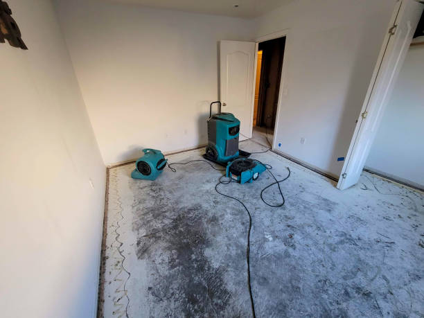 Best Water damage restoration cost  in Dalton, GA