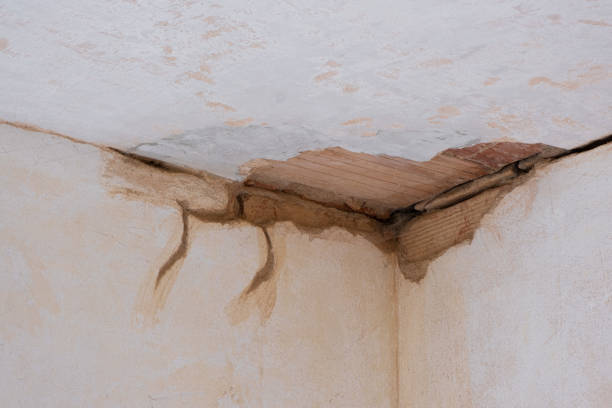 Best 24-hour water damage restoration  in Dalton, GA