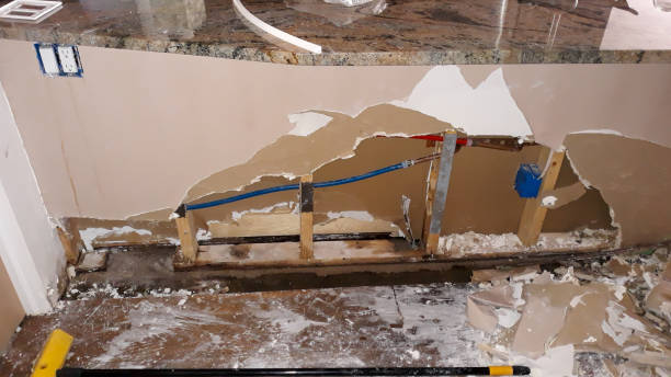 Best Ceiling water damage repair  in Dalton, GA