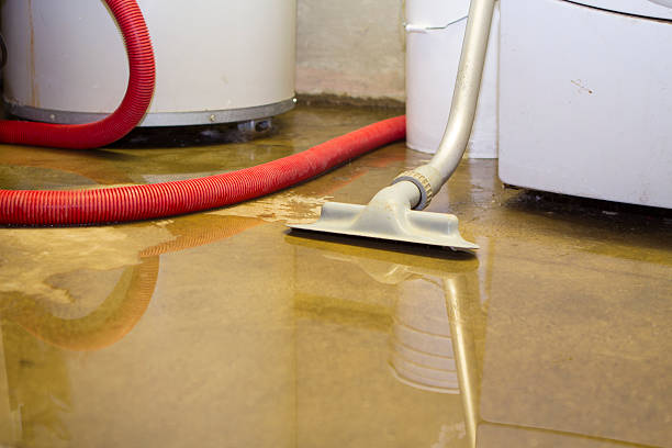 Best 24/7 water damage repair  in Dalton, GA