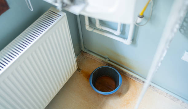 Best Sewage cleanup and water damage restoration  in Dalton, GA